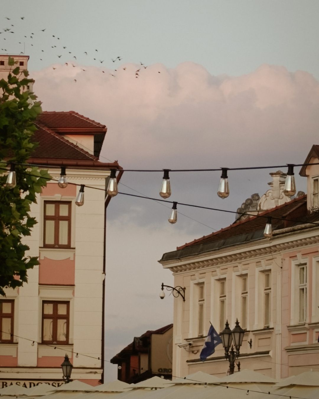 Kamienice i lampki