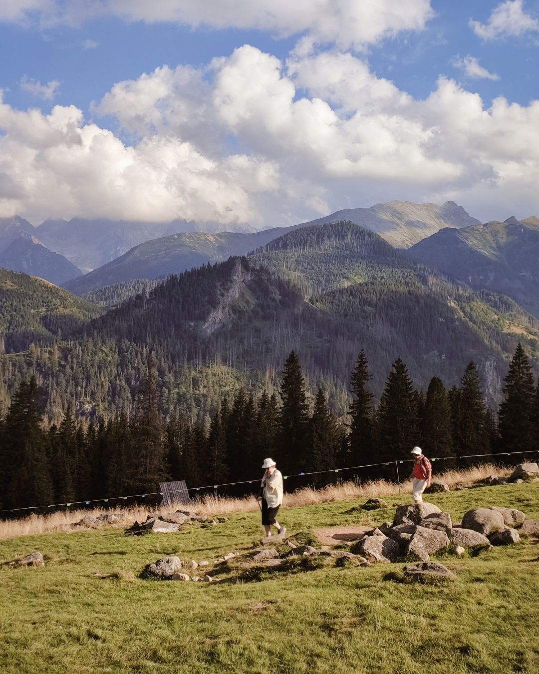Polana w górach
