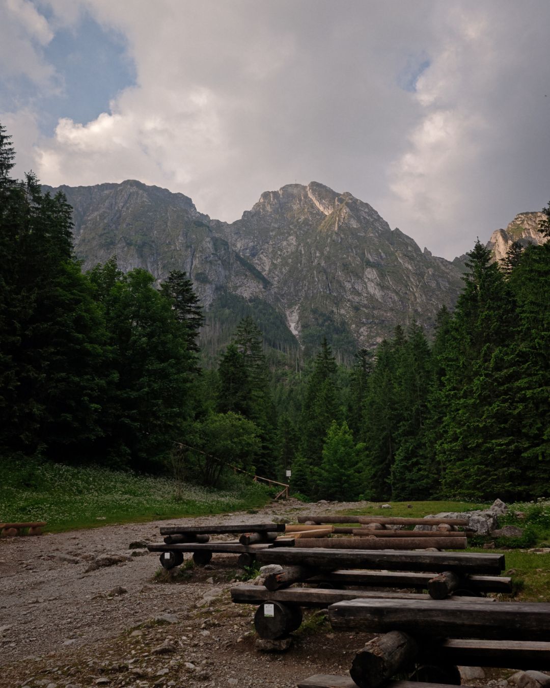 Ścieżka