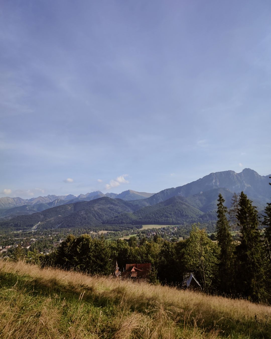 Widok góry