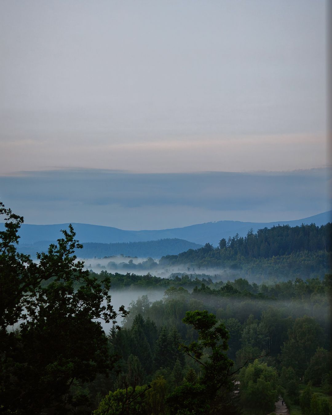 Widok z okna