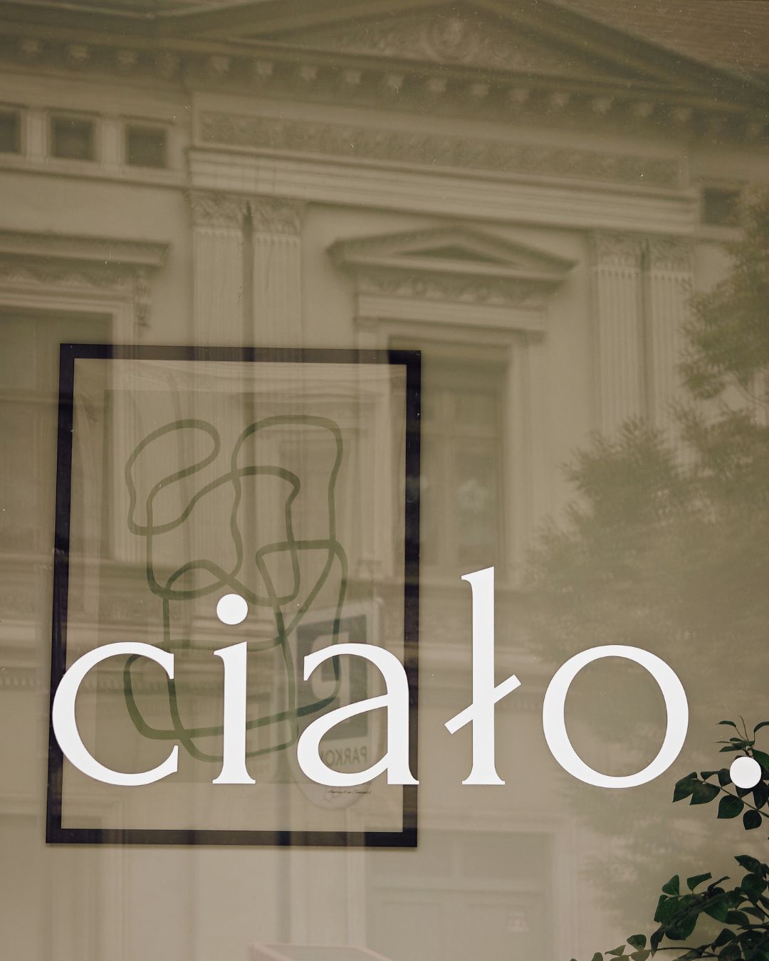 ciało
