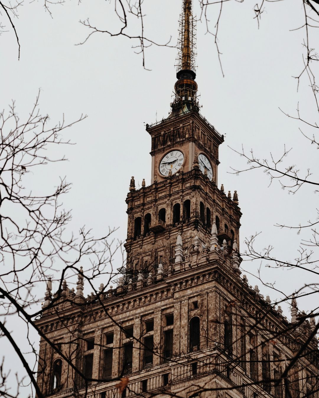 Pałac Kultury 5