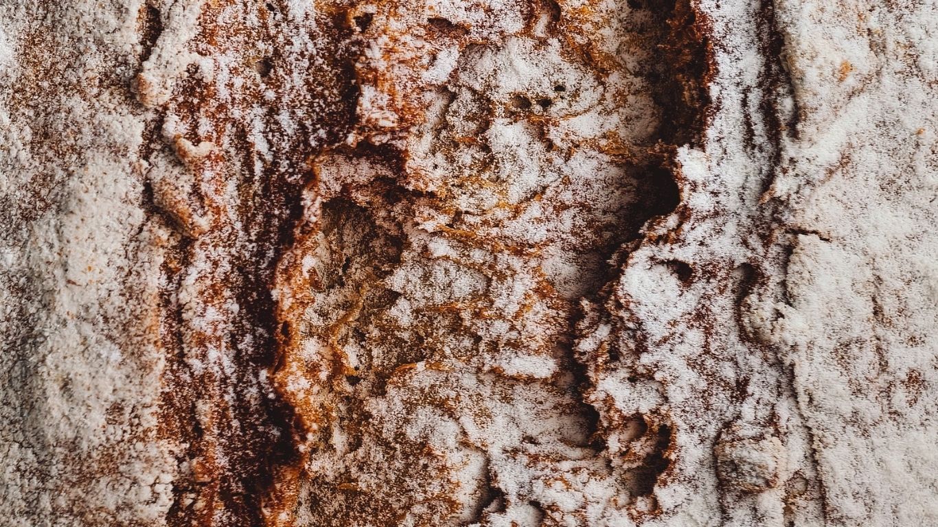 Dobrze wypieczona skórka chleba