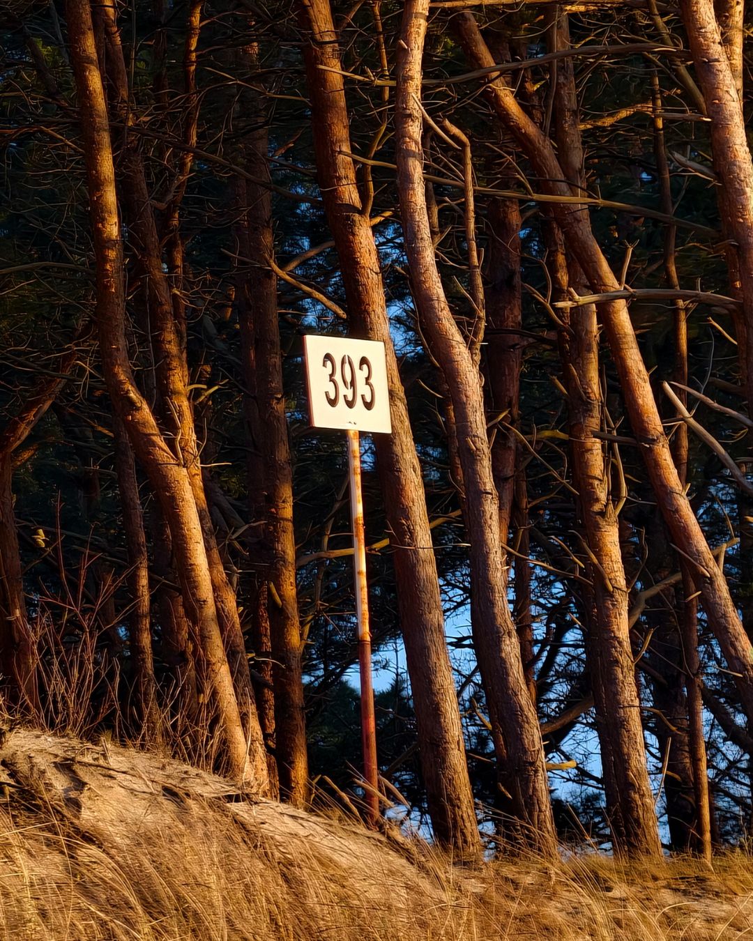 14, Numer na plaży