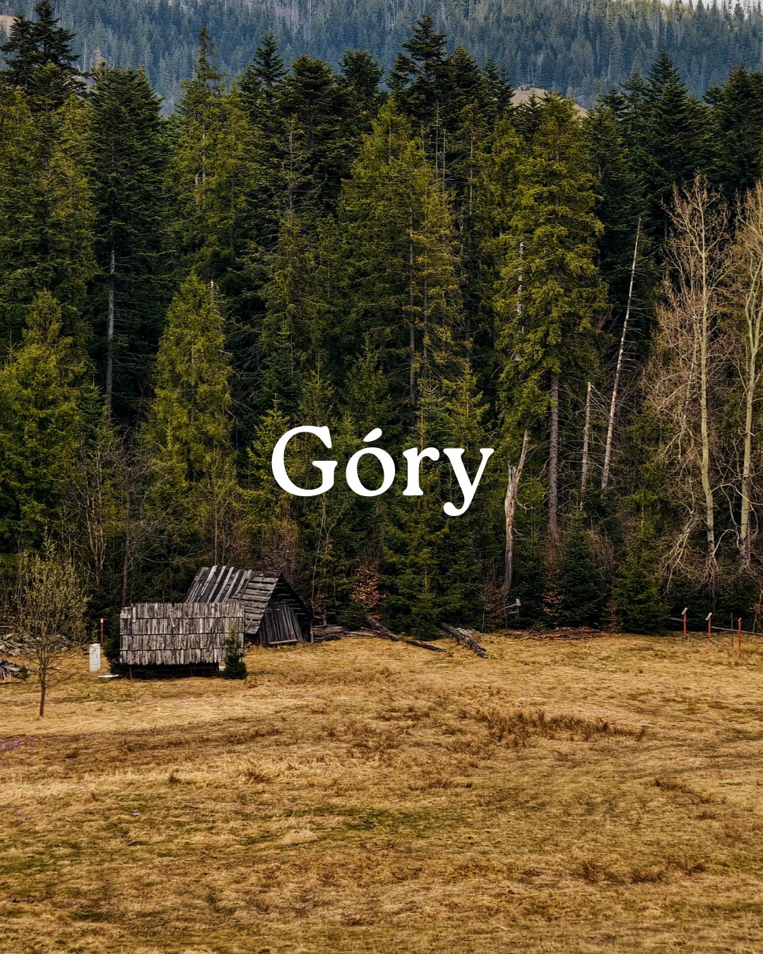 Góry