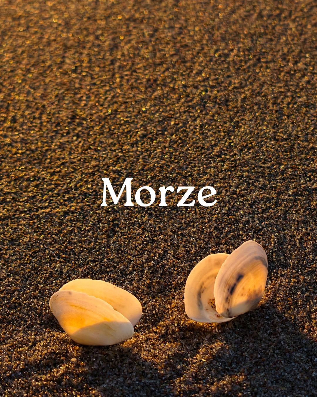 Morze