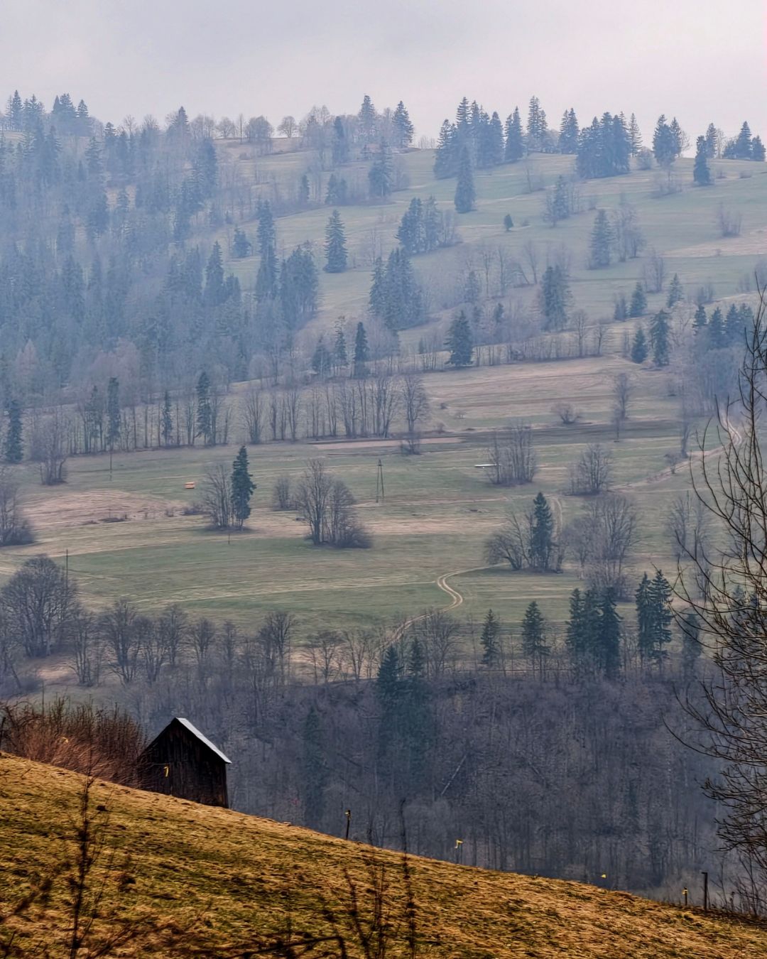 Widok na góry