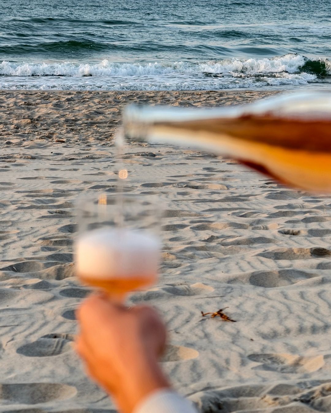 Piknik - wino na plaży