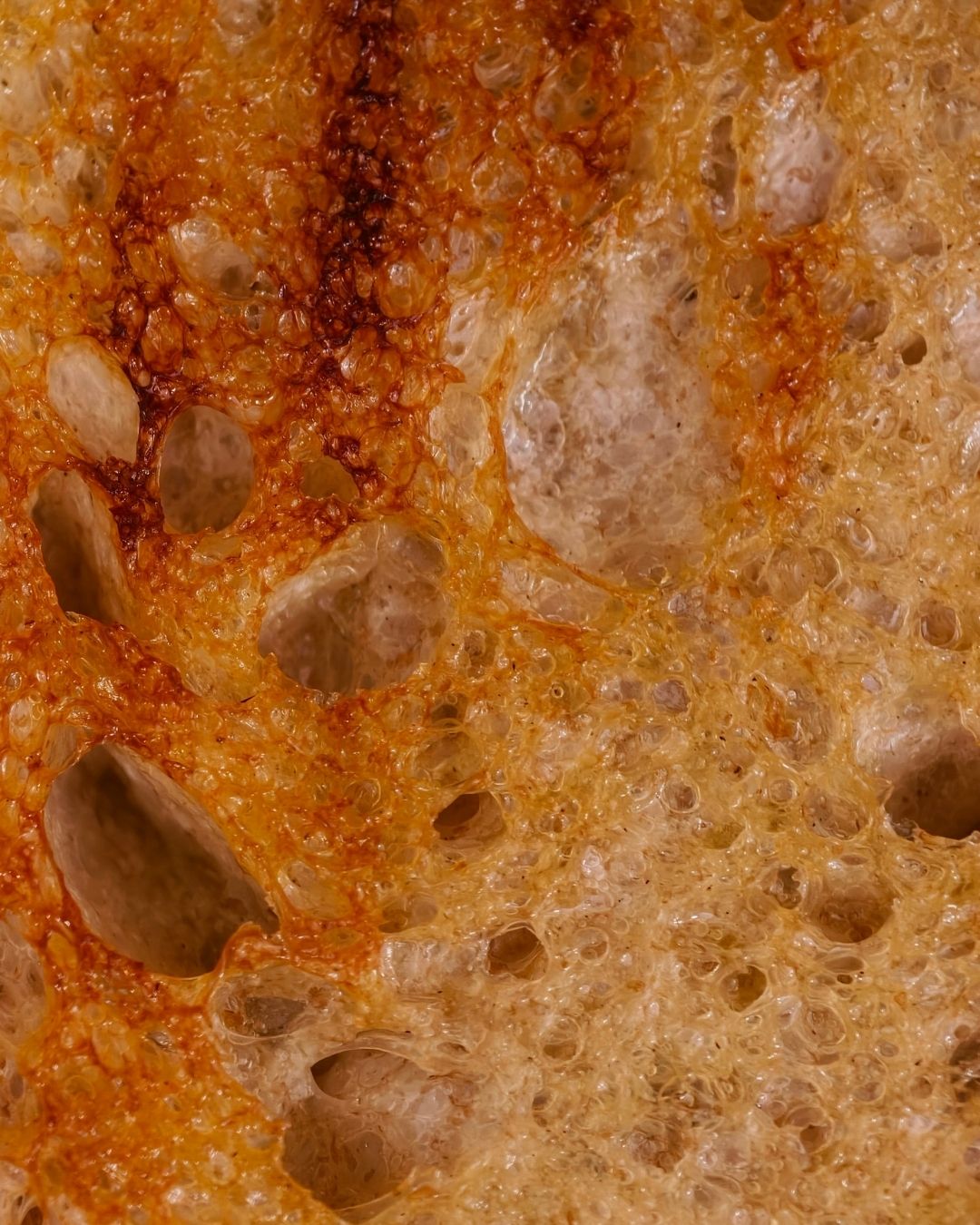 Przypieczona kromka