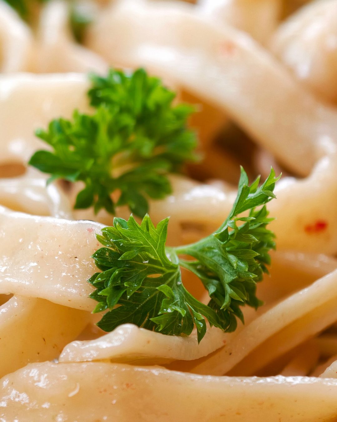 Tagliatelle ze szpinakiem i pomidorkami